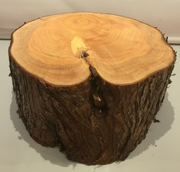 Tree Stump Stand No 44